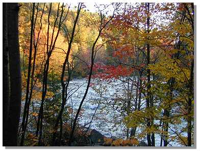 Oxtongue River close to Algonquin Park in Ontario, Canada