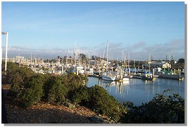 Bay Harbor on the west coast near to where Al Moak lives.  Photo taken by Al.