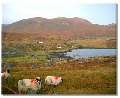 Ardvourlie, Isle of Lewis.  Photo taken by Iain