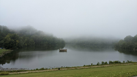 Fog on the Water