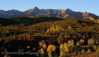 Ridgway Autumn