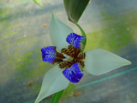DSC01778-640