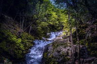 Brandy Creek Falls Tier one-1