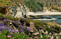 California Shell Beach Cliffs