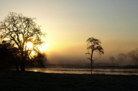 Occidental Rd Laguna sunrise