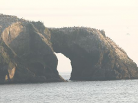 Arch rock of Goat Rock Sonoma Coast