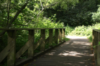 Bridge over creek at Point Reyes National Seashore