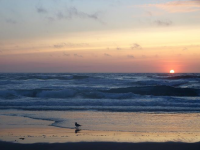 Sunset on Mendocino coastline