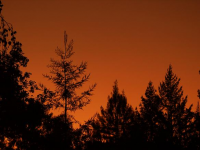 Fall sunrise in Sebastopol