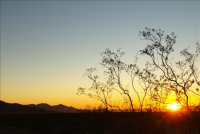 Sunrise gold on the Mojave desert