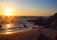 Sunset gold at Bodega Head, Sonoma county coastline