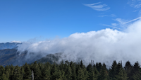 Clouds at Clingmans Dome