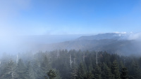 Clingmans Dome 5