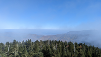 Clingmans Dome 7