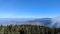 Clingmans Dome 10