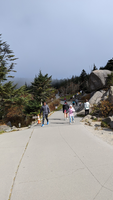 Clingmans Dome 14