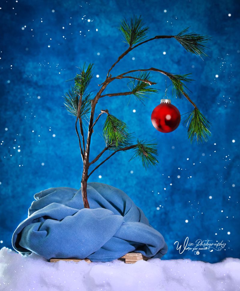 December Charlie Brown Tree.jpg